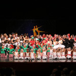 X17IDEM (1129)